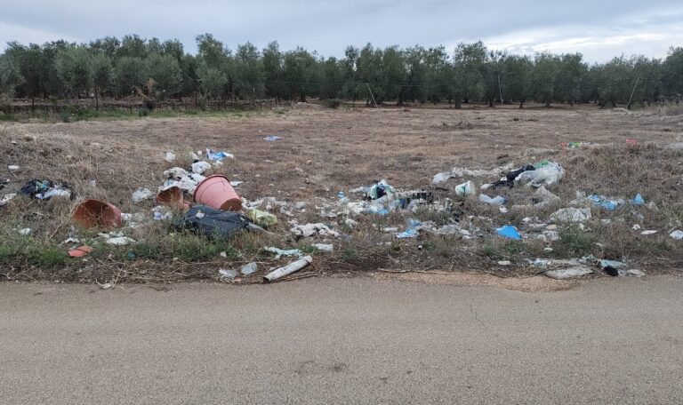rifiuti abbandonati lungo una strada rurale
